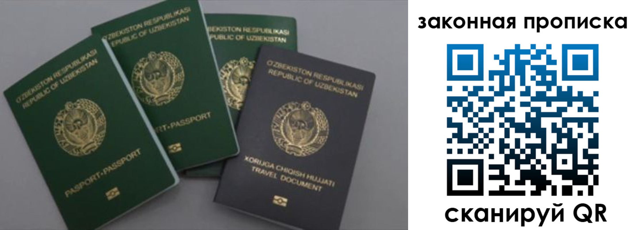 прописка законно в Муравленко